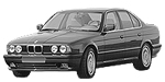 BMW E34 B251D Fault Code